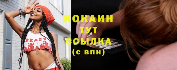 ГАЛЛЮЦИНОГЕННЫЕ ГРИБЫ Абаза