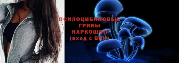 гидропоника Абдулино