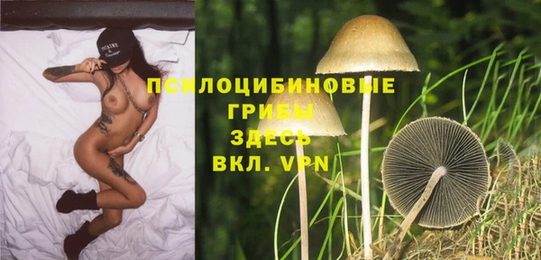 гидропоника Абдулино