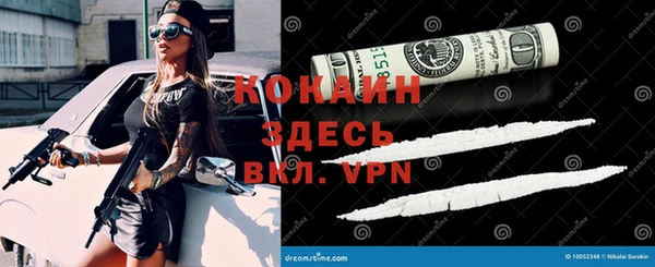 ГАЛЛЮЦИНОГЕННЫЕ ГРИБЫ Абаза