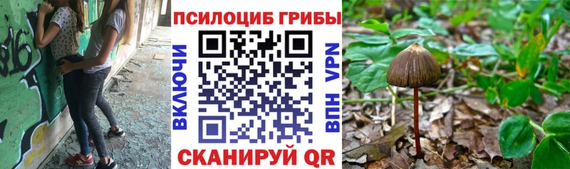 даркнет официальный сайт  Ильский  Галлюциногенные грибы мицелий  наркотики 